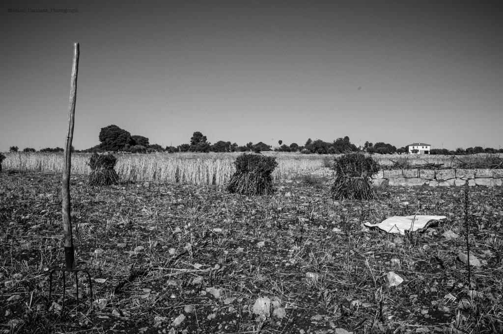 Agriturismo Il Melograno Cannizzara Buitenkant foto