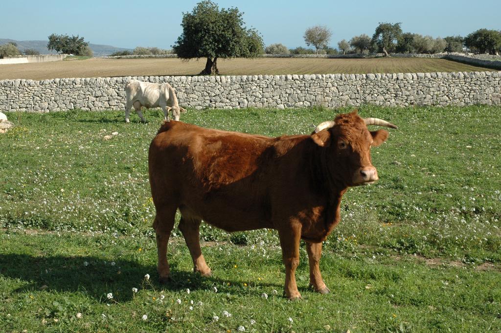Agriturismo Il Melograno Cannizzara Buitenkant foto